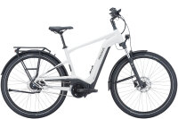 Savino EVO 5F Lite 28 Zoll Diamant 45 cm SHIMANO Nexus...